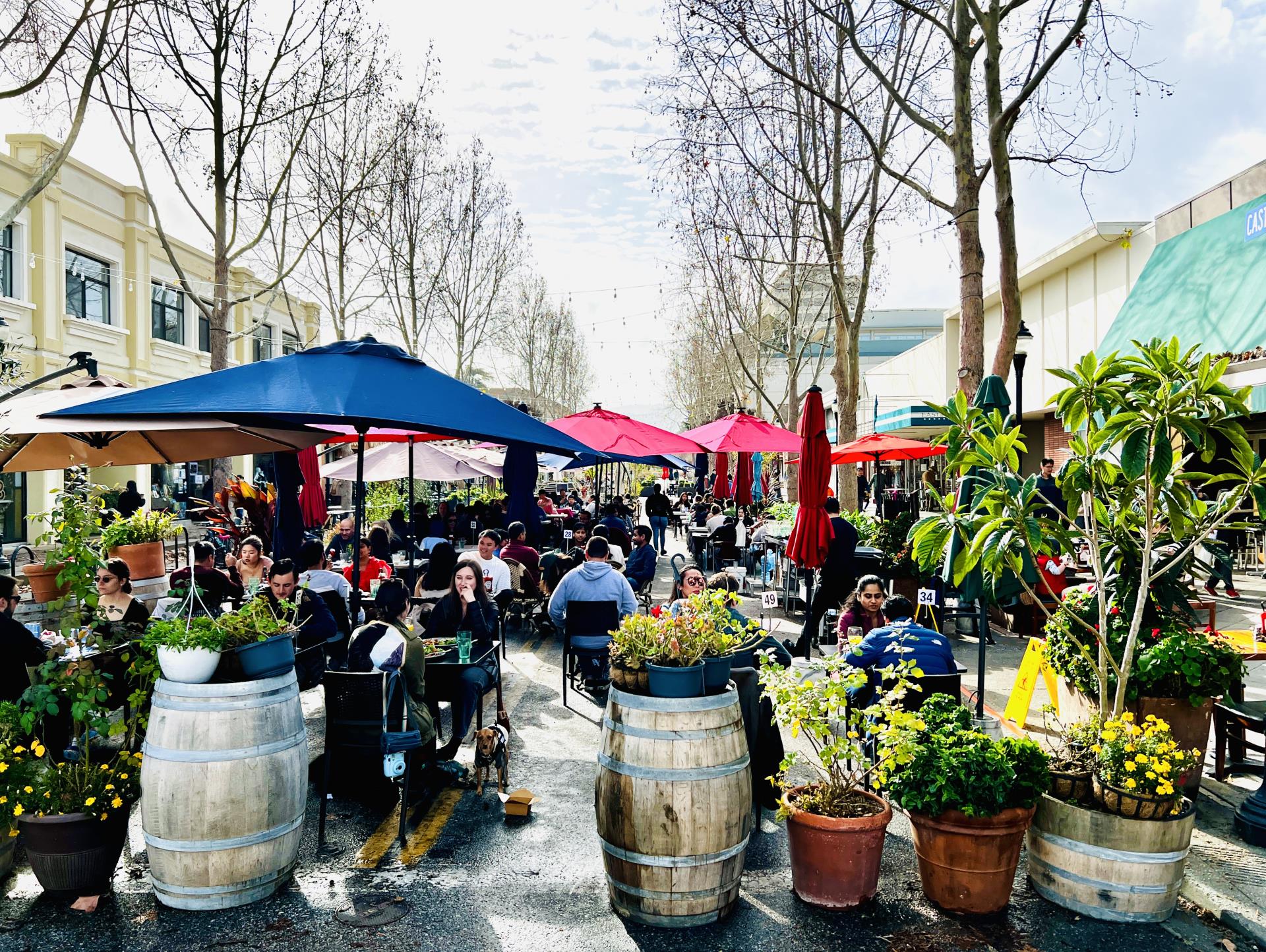Downtown Castro Street dining